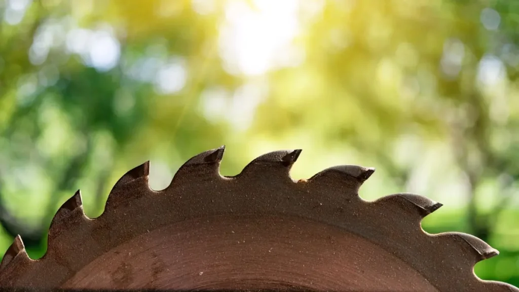 Circular saw blade outdoors with soft sunlight, hinting at outdoor woodworking as an alternative.