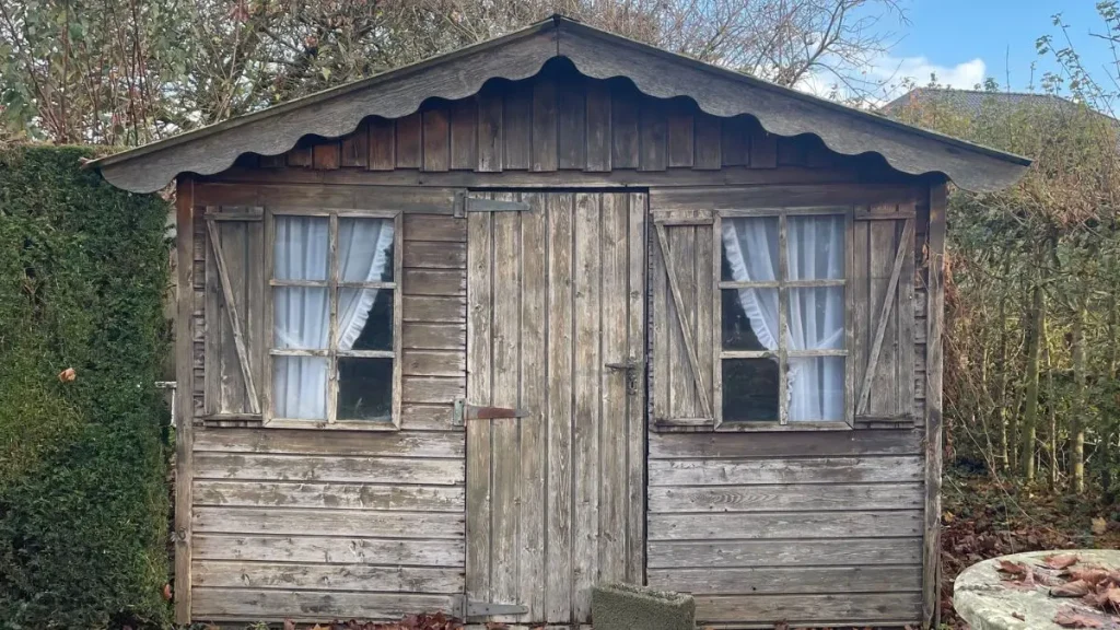 How to start woodworking at home in a small backyard shed with limited space